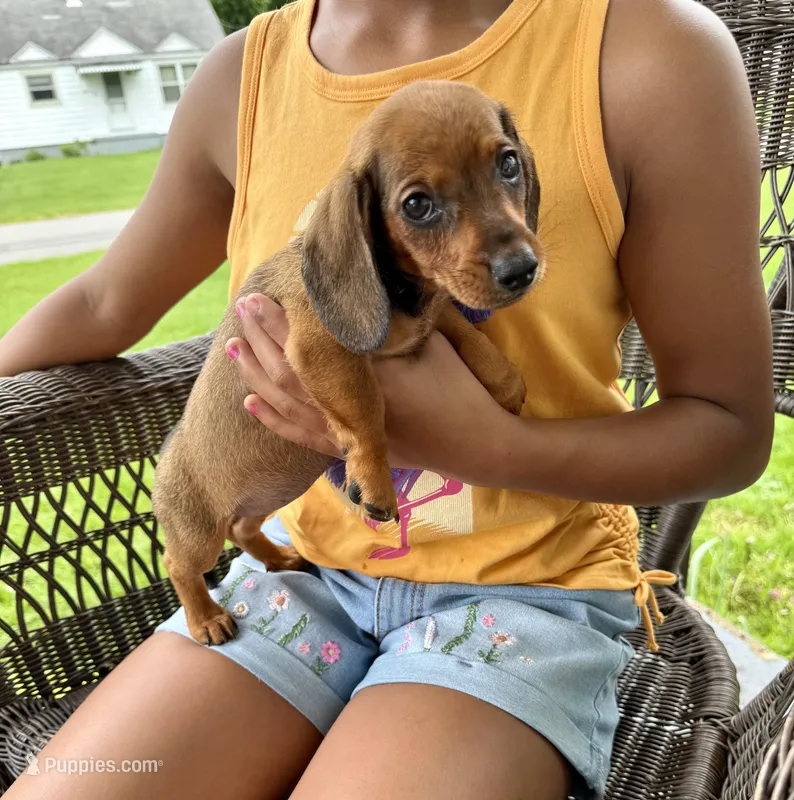 Ruby Take me Home Today!