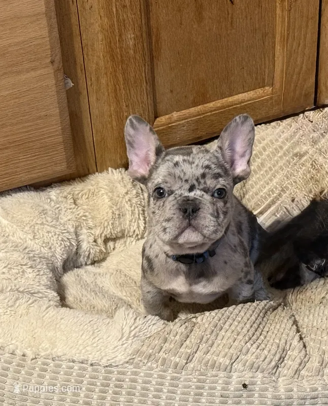 Jaxx Take me Home Today!