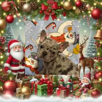 Jaxx Take me Home Today!, a male French Bulldog for sale in Mansfield, OH – Photo 3 of 6