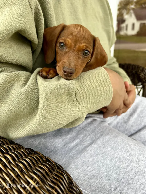 Miss Ruby Take Me Home Today!