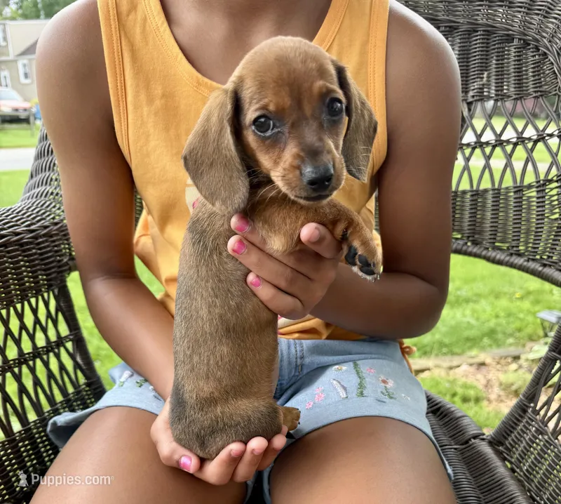 Ellie Take Me Home Today!