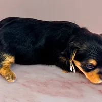 processed/b052de6e-da21-4886-9ea1-b26ea892867b/facility/28799462-b8bf-4179-843f-bc2b3c72fe50