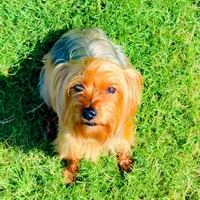 processed/b052de6e-da21-4886-9ea1-b26ea892867b/facility/3c4ce7cf-3800-45c4-b7db-f2922ac46cd4