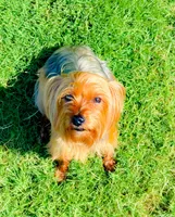 processed/b052de6e-da21-4886-9ea1-b26ea892867b/facility/3c4ce7cf-3800-45c4-b7db-f2922ac46cd4