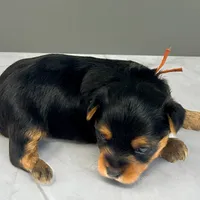 processed/b052de6e-da21-4886-9ea1-b26ea892867b/facility/910dd9a0-7c8b-4172-a671-4657c4490f5e