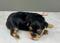 processed/b052de6e-da21-4886-9ea1-b26ea892867b/facility/910dd9a0-7c8b-4172-a671-4657c4490f5e