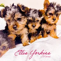 processed/b052de6e-da21-4886-9ea1-b26ea892867b/facility/b1dc666c-6265-41d7-a697-19624ea9674c