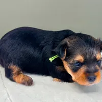 processed/b052de6e-da21-4886-9ea1-b26ea892867b/facility/cd0cc10a-bca9-4985-85af-99c6d838b020