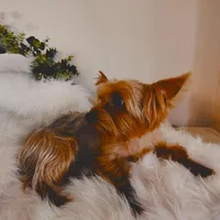 processed/b052de6e-da21-4886-9ea1-b26ea892867b/facility/d36d8f64-3e84-4d2d-9fec-3c0426898d84