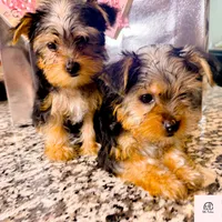 processed/b052de6e-da21-4886-9ea1-b26ea892867b/facility/e50ca77e-313a-4495-8578-c3c980e7a939