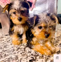 processed/b052de6e-da21-4886-9ea1-b26ea892867b/facility/e50ca77e-313a-4495-8578-c3c980e7a939