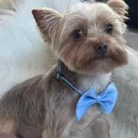 processed/b052de6e-da21-4886-9ea1-b26ea892867b/facility/e63cfb73-67ab-46df-aa1e-748c11e514a4