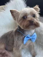 processed/b052de6e-da21-4886-9ea1-b26ea892867b/facility/e63cfb73-67ab-46df-aa1e-748c11e514a4