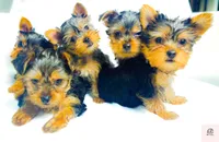 processed/b052de6e-da21-4886-9ea1-b26ea892867b/facility/f09148ba-0cc8-4f5c-ada3-f9f7337f5050