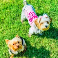 processed/b052de6e-da21-4886-9ea1-b26ea892867b/facility/f828e78f-4476-49e0-ba67-e154e55d5e16