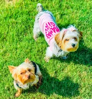 processed/b052de6e-da21-4886-9ea1-b26ea892867b/facility/f828e78f-4476-49e0-ba67-e154e55d5e16