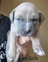 processed/b05cf01f-868d-48cf-baf1-e7df4fa6c7f3/listing/1f2226e5-453d-4bb7-833d-87767eec9941/a012c022-6d42-48ed-8d1c-20fd423b0e1d