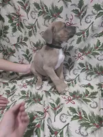 processed/b05cf01f-868d-48cf-baf1-e7df4fa6c7f3/listing/1f2226e5-453d-4bb7-833d-87767eec9941/a072d277-cee1-4b2c-a393-2e798d080651