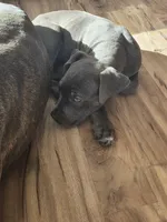 processed/b05cf01f-868d-48cf-baf1-e7df4fa6c7f3/listing/459edb0e-4dd2-41be-8abd-7abb593568d9/5425110f-88ae-42f8-b8bd-2017be5bf64a