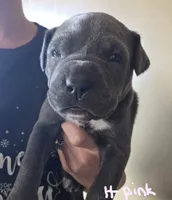 processed/b05cf01f-868d-48cf-baf1-e7df4fa6c7f3/listing/459edb0e-4dd2-41be-8abd-7abb593568d9/7e45ce72-211f-4e63-b67a-217050857a4c