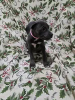 processed/b05cf01f-868d-48cf-baf1-e7df4fa6c7f3/listing/459edb0e-4dd2-41be-8abd-7abb593568d9/967539cf-ad8a-4f89-8b9a-e3c18fbb23fe