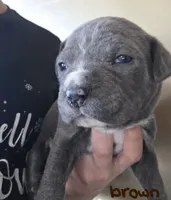 processed/b05cf01f-868d-48cf-baf1-e7df4fa6c7f3/listing/5ef56af0-0448-4600-acad-663d70c1857f/16e1620b-fce7-4e93-b232-78c0722e2342