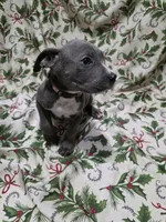 processed/b05cf01f-868d-48cf-baf1-e7df4fa6c7f3/listing/5ef56af0-0448-4600-acad-663d70c1857f/cf0c8f29-c078-406d-9c27-f36e3071df35