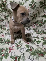 processed/b05cf01f-868d-48cf-baf1-e7df4fa6c7f3/listing/60f6426c-6def-4310-9c7f-0d7ecb264641/4ccc72bb-3e81-49ae-b546-88e44d8b3cbd