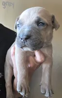 processed/b05cf01f-868d-48cf-baf1-e7df4fa6c7f3/listing/60f6426c-6def-4310-9c7f-0d7ecb264641/f6d9e657-15e9-4749-9277-91e893cab369