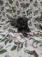 processed/b05cf01f-868d-48cf-baf1-e7df4fa6c7f3/listing/a8c2743a-c0ea-42a5-9e8b-8ca58d6236a2/53560a03-6693-48d4-a019-f617e31bd8f5