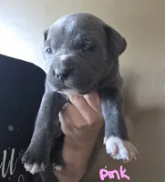 processed/b05cf01f-868d-48cf-baf1-e7df4fa6c7f3/listing/a8c2743a-c0ea-42a5-9e8b-8ca58d6236a2/95dd1507-7948-42b6-851f-fe263cf6ce93