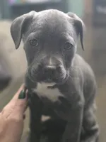 processed/b05cf01f-868d-48cf-baf1-e7df4fa6c7f3/listing/a8c2743a-c0ea-42a5-9e8b-8ca58d6236a2/a401d86c-d5bb-4907-9b7f-43aa9325b1c7