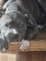 processed/b05cf01f-868d-48cf-baf1-e7df4fa6c7f3/listing/a8c2743a-c0ea-42a5-9e8b-8ca58d6236a2/e280a999-9a07-414b-9b51-d2ac98a15b73