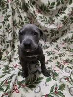 processed/b05cf01f-868d-48cf-baf1-e7df4fa6c7f3/listing/b861ae1f-d7e6-4d25-9ff0-574aca45b488/3bfe4a62-bb0e-4c9f-9517-d2f8e6d6f008