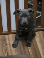 processed/b05cf01f-868d-48cf-baf1-e7df4fa6c7f3/listing/b861ae1f-d7e6-4d25-9ff0-574aca45b488/8f7f001d-845a-43fd-ab17-4e9928d1cf10