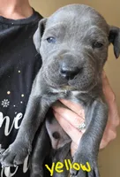 processed/b05cf01f-868d-48cf-baf1-e7df4fa6c7f3/listing/b861ae1f-d7e6-4d25-9ff0-574aca45b488/b40b3388-5026-4a38-a1c4-7c51940755c0