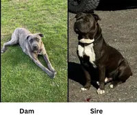 processed/b05cf01f-868d-48cf-baf1-e7df4fa6c7f3/listing/b861ae1f-d7e6-4d25-9ff0-574aca45b488/bab2e7ff-8f9c-4bc4-b650-537a6e9c38ca