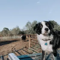 processed/b061dafd-19c4-4a4d-9ff3-c988b5916998/facility/0614bc45-89cd-4ea5-896c-c49e975daada