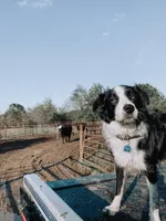 processed/b061dafd-19c4-4a4d-9ff3-c988b5916998/facility/0614bc45-89cd-4ea5-896c-c49e975daada