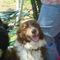 processed/b061dafd-19c4-4a4d-9ff3-c988b5916998/facility/59198a5e-10f2-4e84-a459-085f348227af