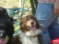 processed/b061dafd-19c4-4a4d-9ff3-c988b5916998/facility/59198a5e-10f2-4e84-a459-085f348227af