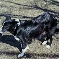 processed/b061dafd-19c4-4a4d-9ff3-c988b5916998/facility/7458fc46-c697-4674-b617-1f15c1880932