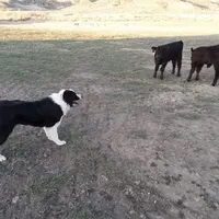 processed/b061dafd-19c4-4a4d-9ff3-c988b5916998/facility/7756c29b-c8dd-44de-aba6-e77fe94507be