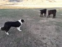 processed/b061dafd-19c4-4a4d-9ff3-c988b5916998/facility/7756c29b-c8dd-44de-aba6-e77fe94507be