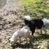 processed/b061dafd-19c4-4a4d-9ff3-c988b5916998/facility/b3c3640f-4cce-4cb3-932c-283f05e7bba3