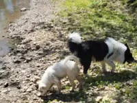 processed/b061dafd-19c4-4a4d-9ff3-c988b5916998/facility/b3c3640f-4cce-4cb3-932c-283f05e7bba3