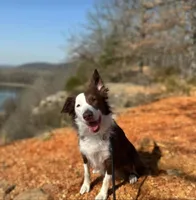 processed/b061dafd-19c4-4a4d-9ff3-c988b5916998/facility/c9305e18-e3ea-4d4f-8dad-d063ebd378ea