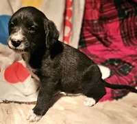 processed/b061dafd-19c4-4a4d-9ff3-c988b5916998/listing/0e11b321-2f8a-4500-be99-0008bfffec72/336e40d2-3707-42f7-905a-53231502cc37