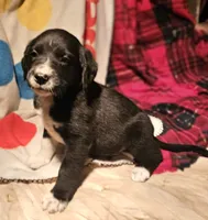 processed/b061dafd-19c4-4a4d-9ff3-c988b5916998/listing/0e11b321-2f8a-4500-be99-0008bfffec72/41db8926-f734-4b83-bc43-e1f95b38312c