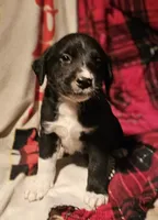 processed/b061dafd-19c4-4a4d-9ff3-c988b5916998/listing/0e11b321-2f8a-4500-be99-0008bfffec72/6d0659f4-95b7-49a3-a668-a77934dbd095